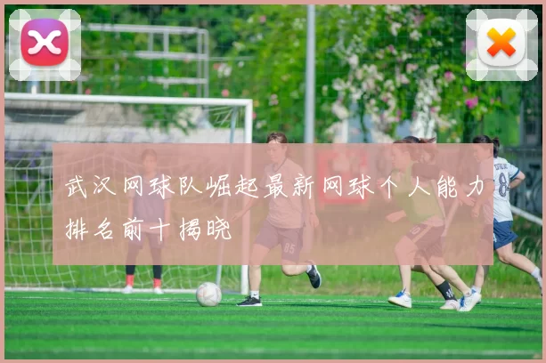 武汉网球队崛起最新网球个人能力排名前十揭晓