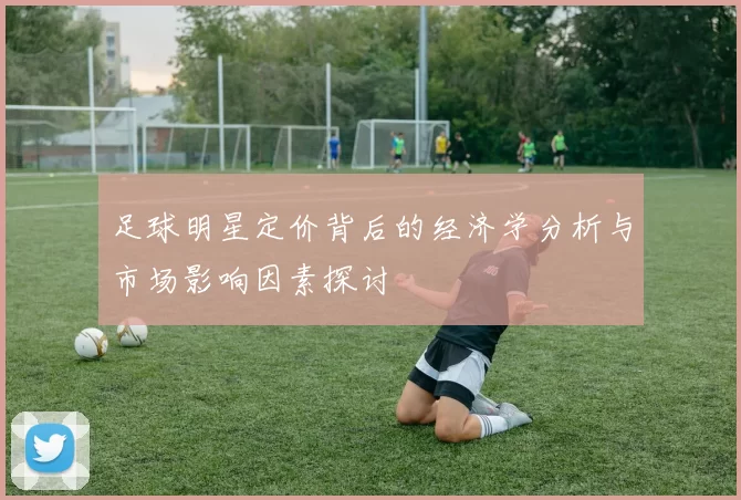 足球明星定价背后的经济学分析与市场影响因素探讨