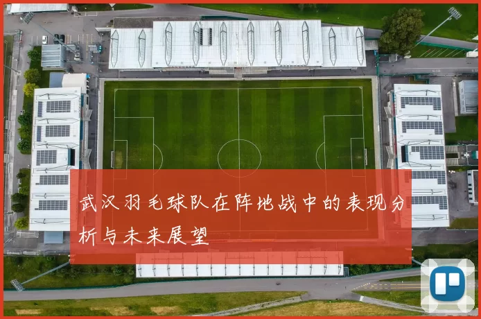 武汉羽毛球队在阵地战中的表现分析与未来展望
