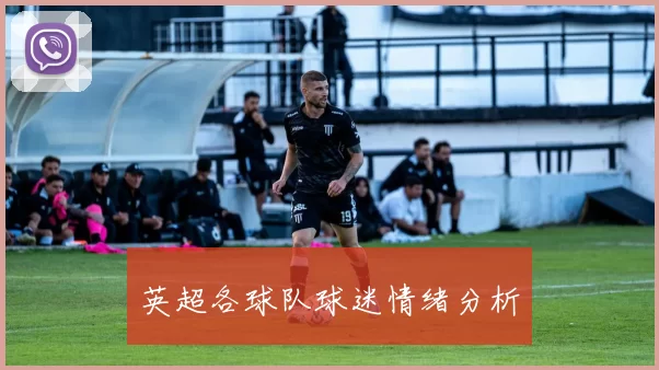 英超各球队球迷情绪分析