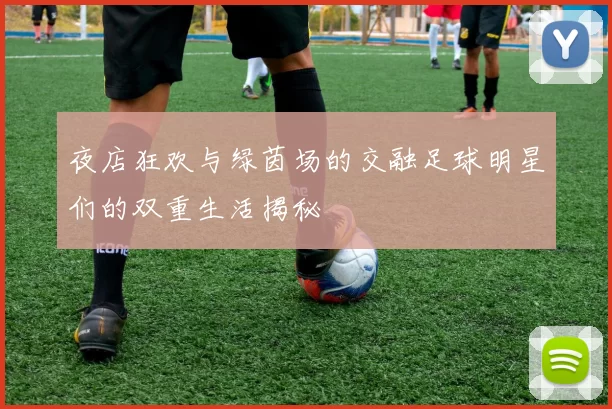 夜店狂欢与绿茵场的交融足球明星们的双重生活揭秘