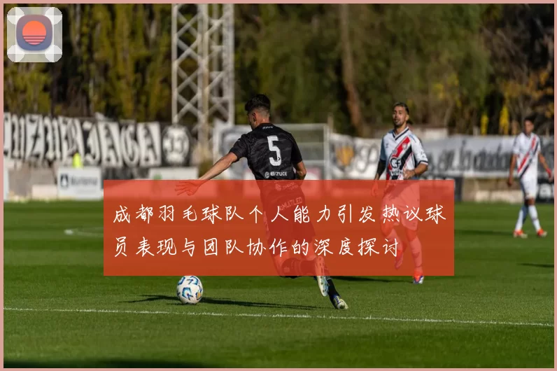 成都羽毛球队个人能力引发热议球员表现与团队协作的深度探讨