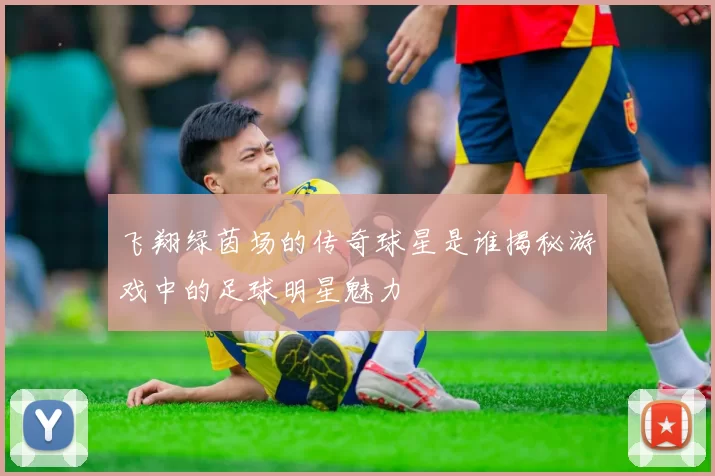 飞翔绿茵场的传奇球星是谁揭秘游戏中的足球明星魅力