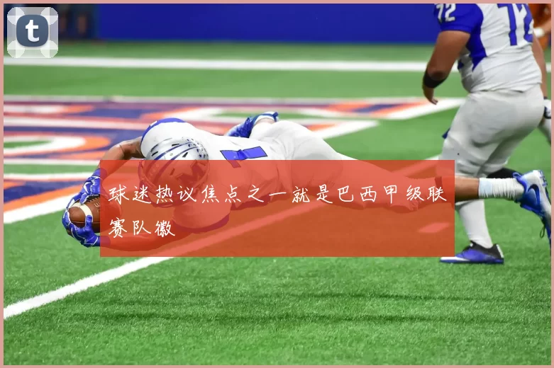 球迷热议焦点之一就是巴西甲级联赛队徽