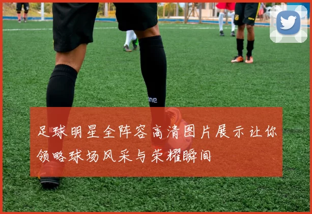 足球明星全阵容高清图片展示让你领略球场风采与荣耀瞬间