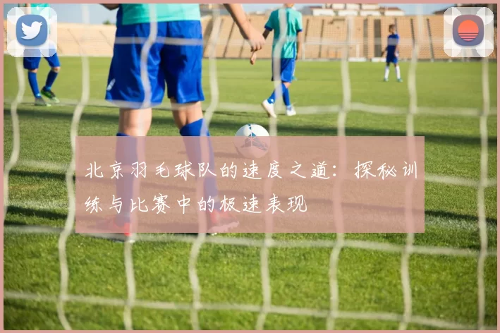 北京羽毛球队的速度之道：探秘训练与比赛中的极速表现