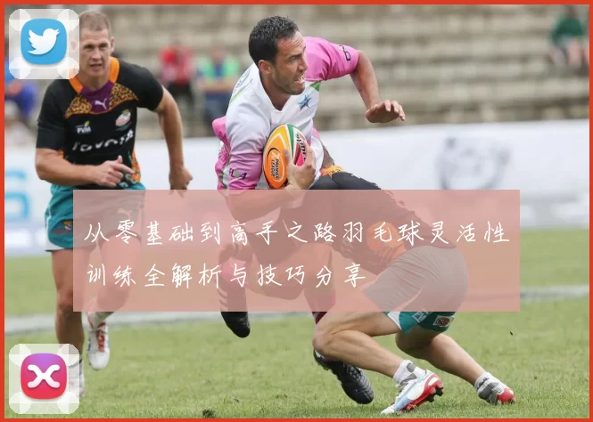 从零基础到高手之路羽毛球灵活性训练全解析与技巧分享