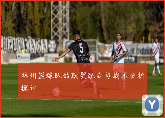 杭州篮球队的默契配合与战术分析探讨