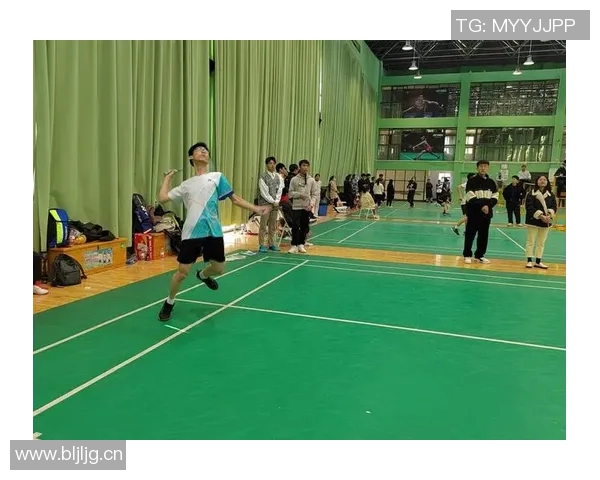 杭州羽毛球队勇攀高峰的奋斗故事与冠军赛背后的不懈努力