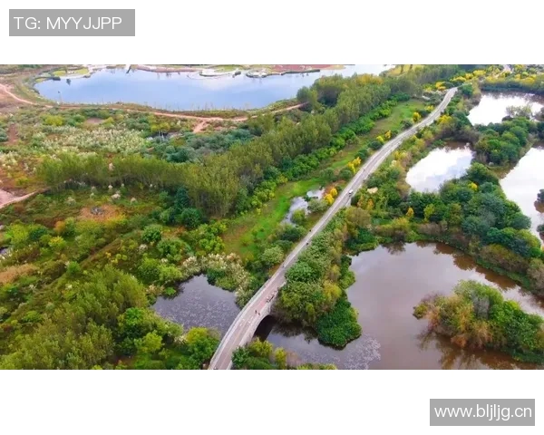 深圳极限运动队的奋斗历程与嘉年华精彩瞬间全景回顾