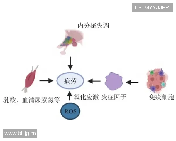水中运动对人体健康的益处与科学原理探索 水中运动对人体健康的益处与科学原理探索
